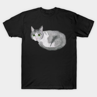 Gray Tabby Cat T-Shirt